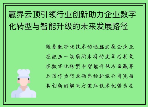 赢界云顶引领行业创新助力企业数字化转型与智能升级的未来发展路径