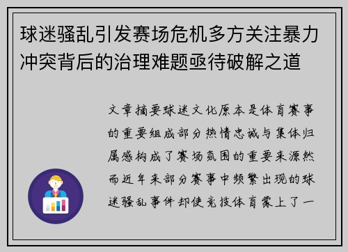 球迷骚乱引发赛场危机多方关注暴力冲突背后的治理难题亟待破解之道